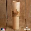 Thompson Mug Co. - Dugout Mugs Houston Astros 2021 Skyline Series Dugout Mug®