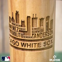 Thompson Mug Co. - Dugout Mugs Chicago White Sox 2021 Skyline Series Dugout Mug®